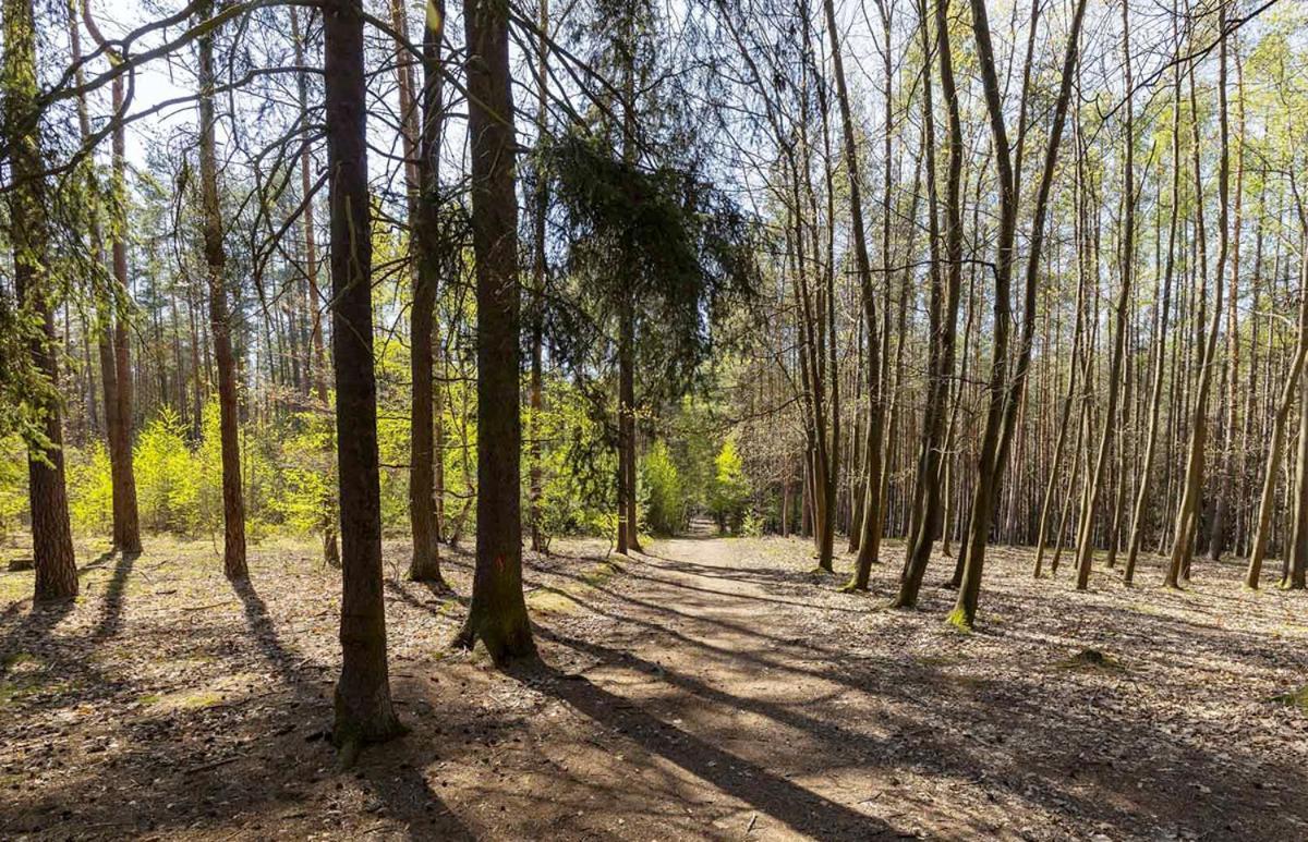 Laskara Garden Apartment By Prague Forest Нове-Йирни Экстерьер фото